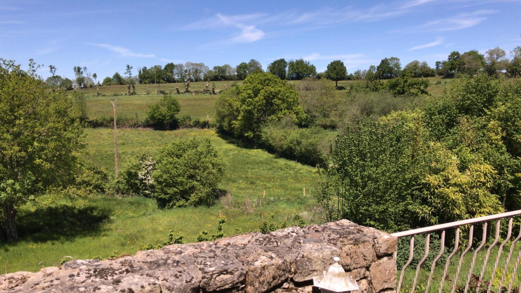Papillons B&B - Beauty, Comfort And Peace 25 Mins From Puy Du Fou Montournais Kültér fotó