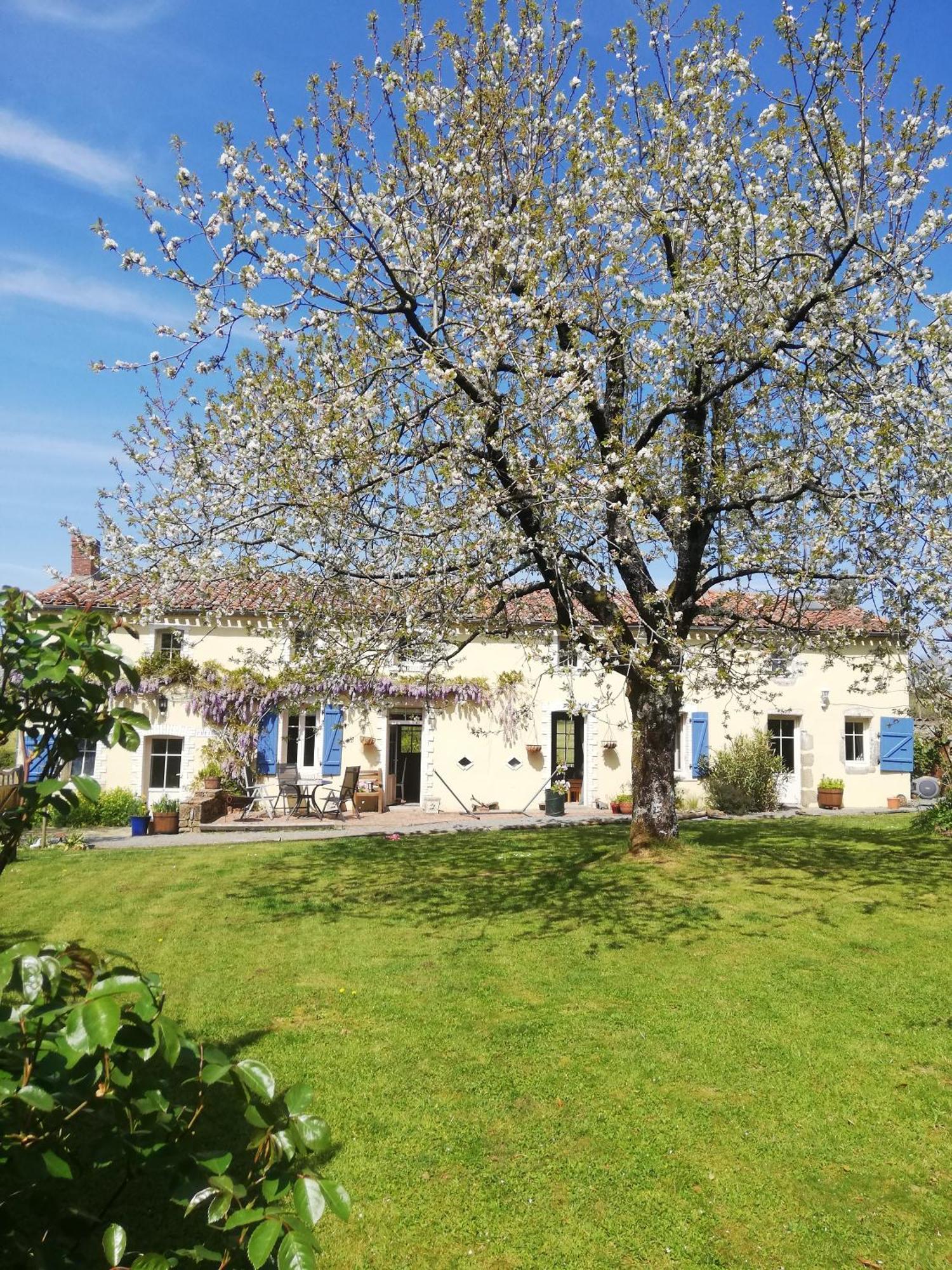 Papillons B&B - Beauty, Comfort And Peace 25 Mins From Puy Du Fou Montournais Kültér fotó